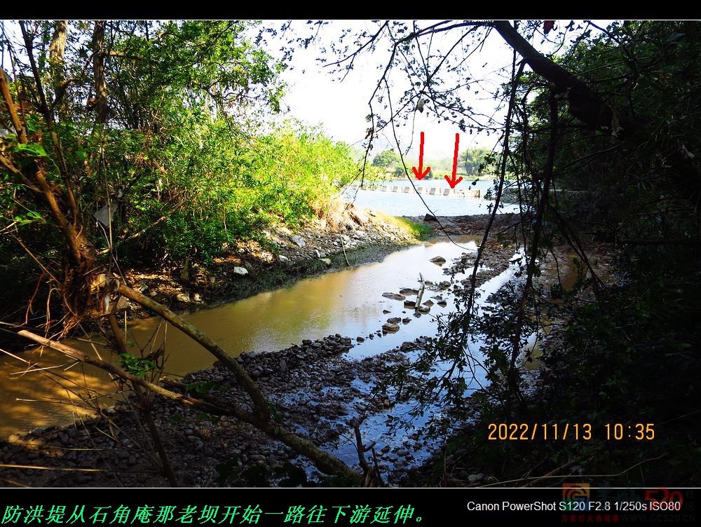 我县利用冬季枯水季节抓紧修防洪堤。221 / 作者:平安大叔 / 帖子ID:303037