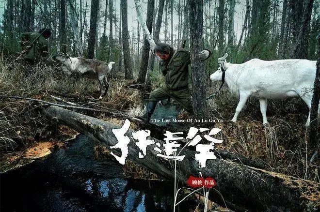 《中国奇谭》证明了一件事：允许动物成精，大有必要309 / 作者:该做的事情 / 帖子ID:303301