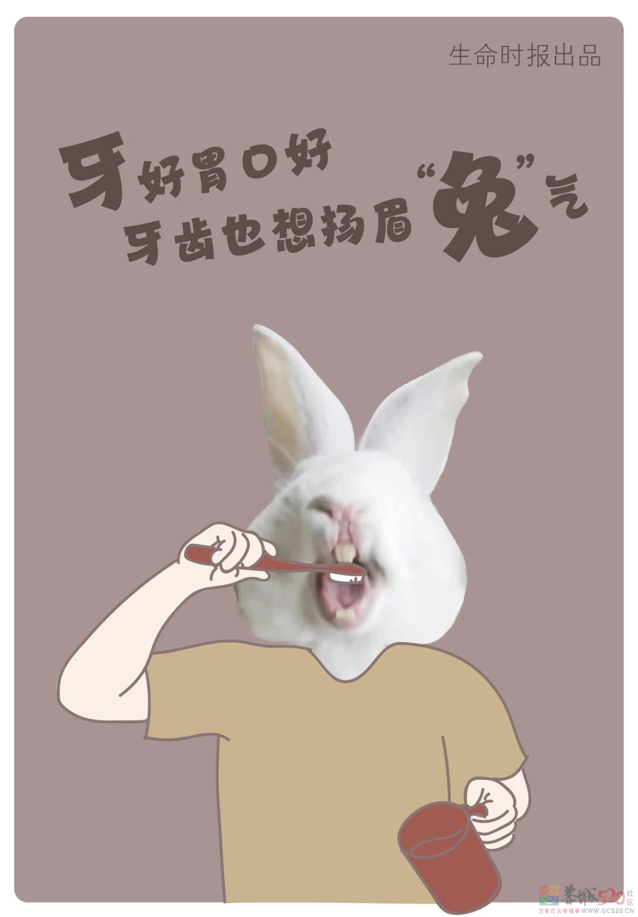 在“养生”这件事上，我劝你学学「兔子」390 / 作者:健康小天使 / 帖子ID:303571