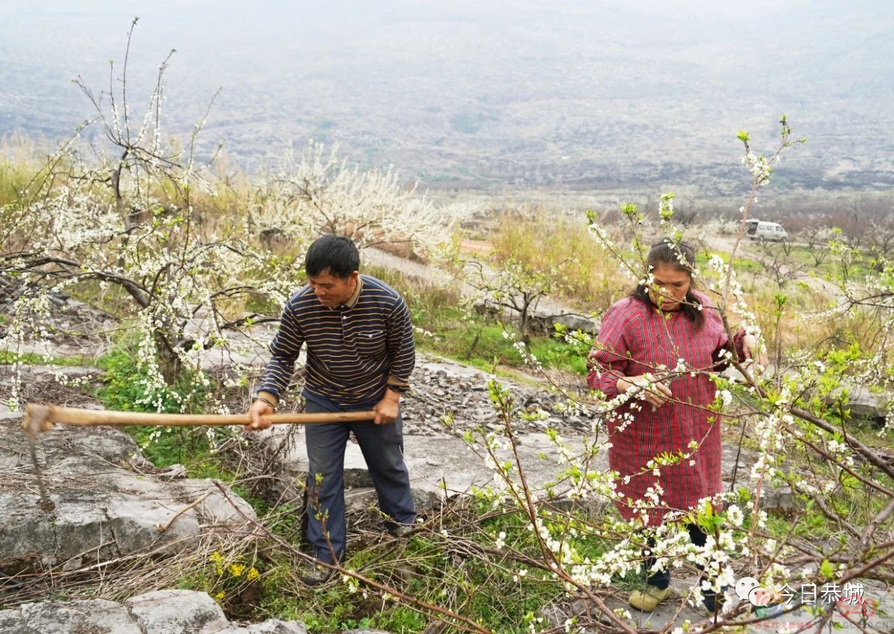 春耕备耕忙起来，不负春耕好时光925 / 作者:论坛小编01 / 帖子ID:303925