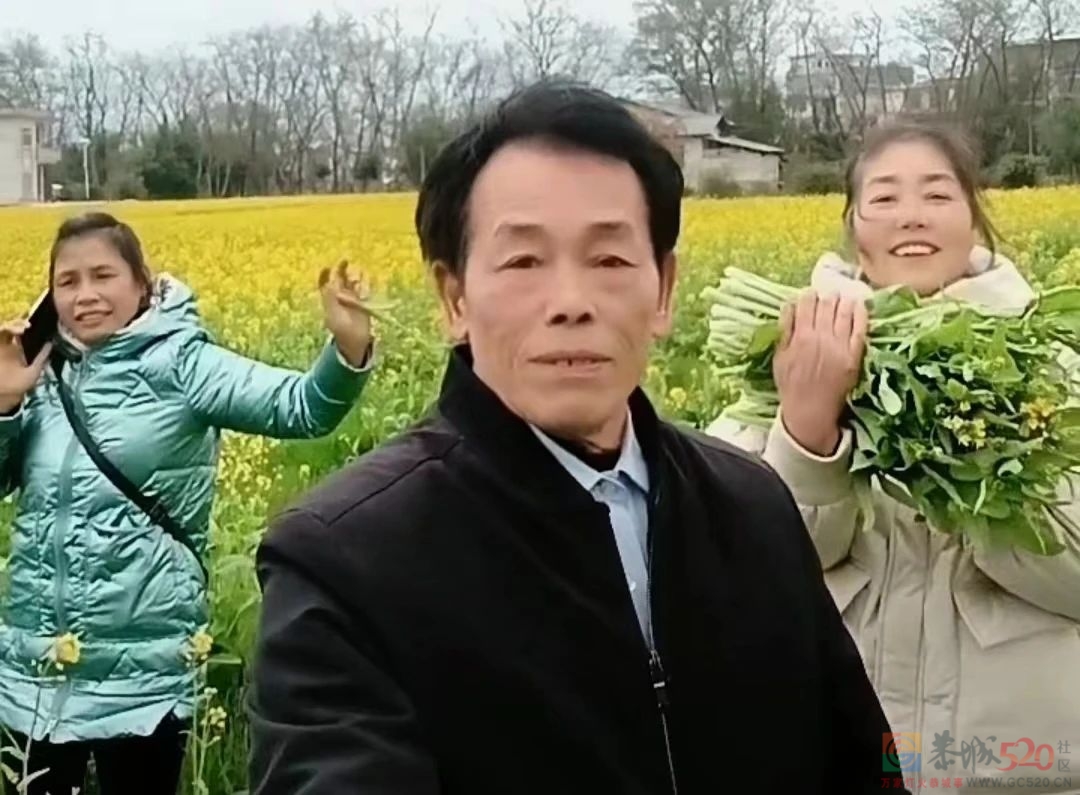 大合二月菜花黄如金358 / 作者:论坛小编01 / 帖子ID:304249