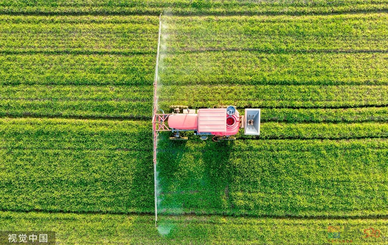 二月二，龙抬头970 / 作者:登山涉水 / 帖子ID:304454