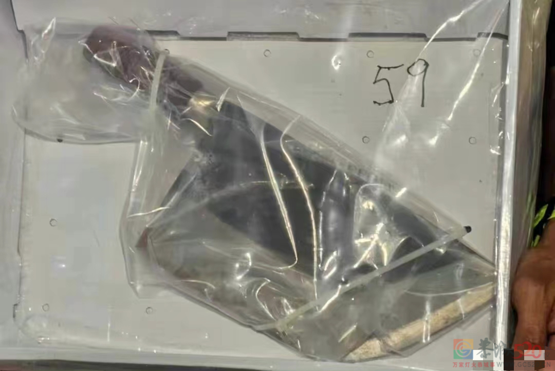 政府部门里有这种人当官老百姓去那申冤？？？24 / 作者:圆月小侠 / 帖子ID:304882