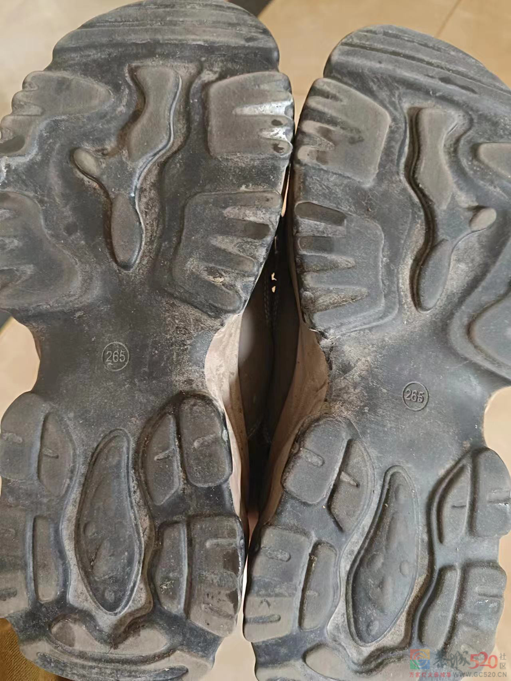 “我们也没想到，43码的脚，竟然是种病”324 / 作者:登山涉水 / 帖子ID:304641