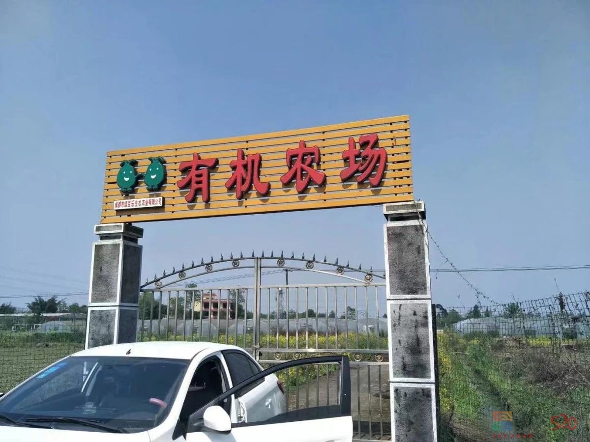 我，90后大学生，送5年外卖还清40万，娶了女骑手，买了房，靠拼190 / 作者:儿时的回忆 / 帖子ID:304683