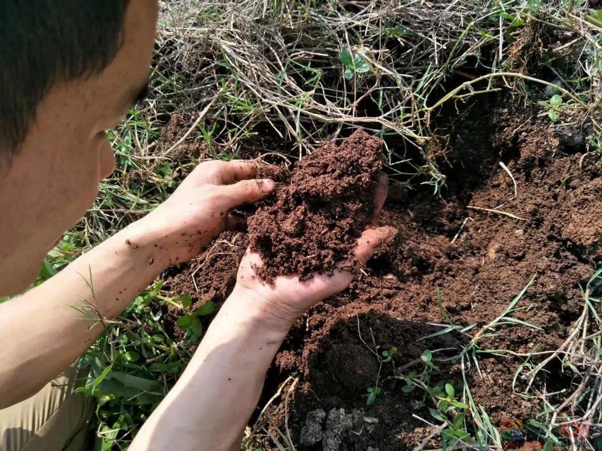 我，90后大学生，送5年外卖还清40万，娶了女骑手，买了房，靠拼93 / 作者:儿时的回忆 / 帖子ID:304683