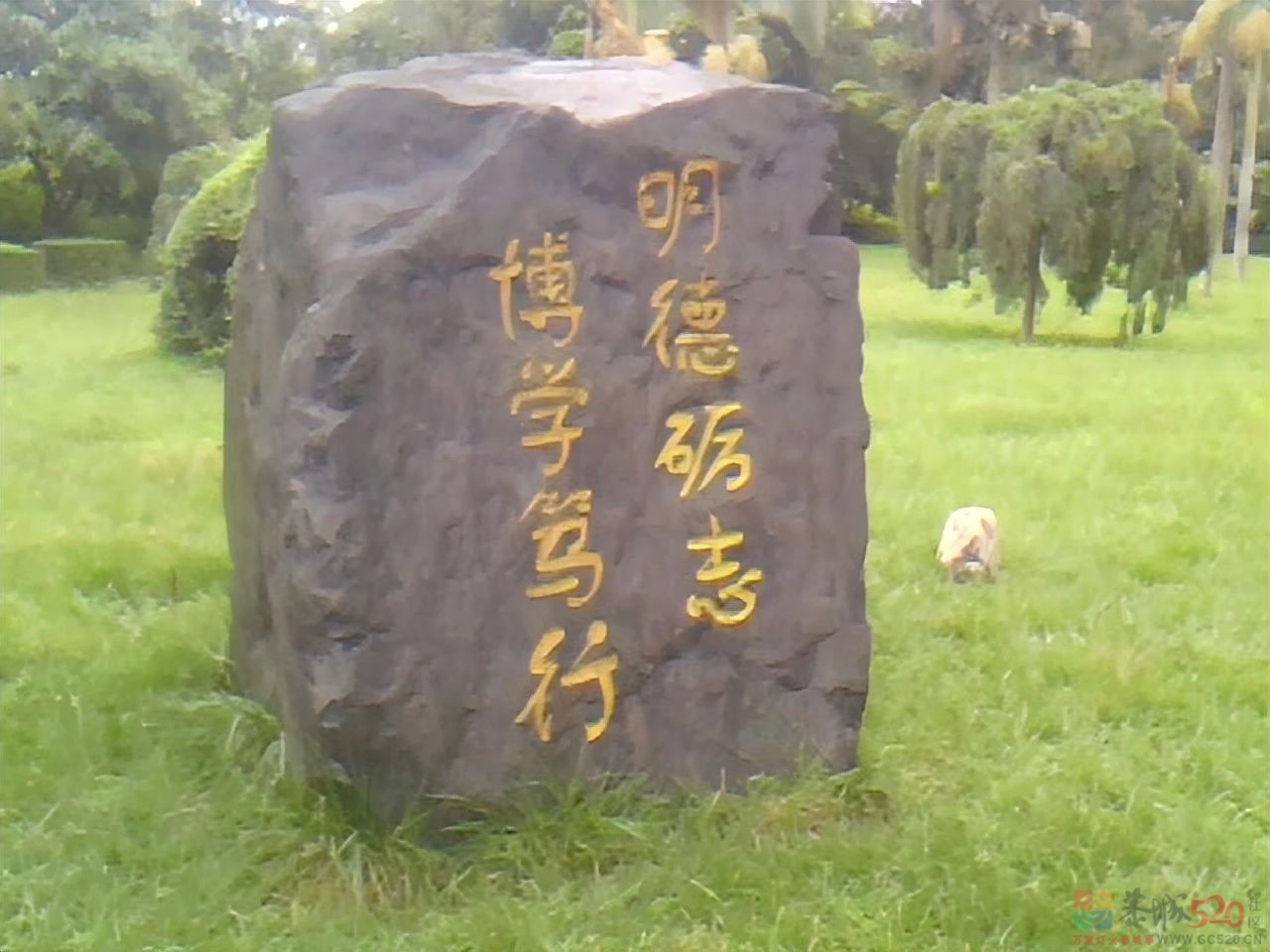 我，90后大学生，送5年外卖还清40万，娶了女骑手，买了房，靠拼627 / 作者:儿时的回忆 / 帖子ID:304683