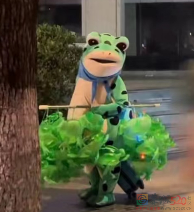 “大学毕业摆摊卖青蛙，直接领先同龄人20年”288 / 作者:儿时的回忆 / 帖子ID:304794