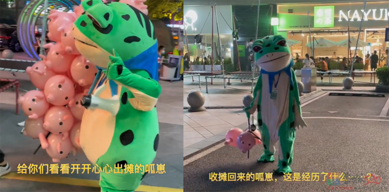 “大学毕业摆摊卖青蛙，直接领先同龄人20年”337 / 作者:儿时的回忆 / 帖子ID:304794