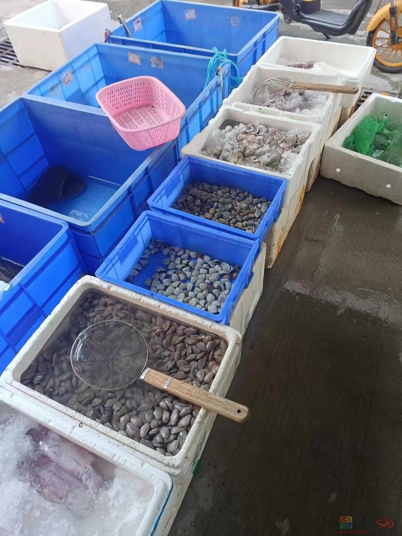 避雷恭城这家菜市里面卖海鲜的店，叫什么群来着！358 / 作者:胡胡胡美丽_ss / 帖子ID:304795