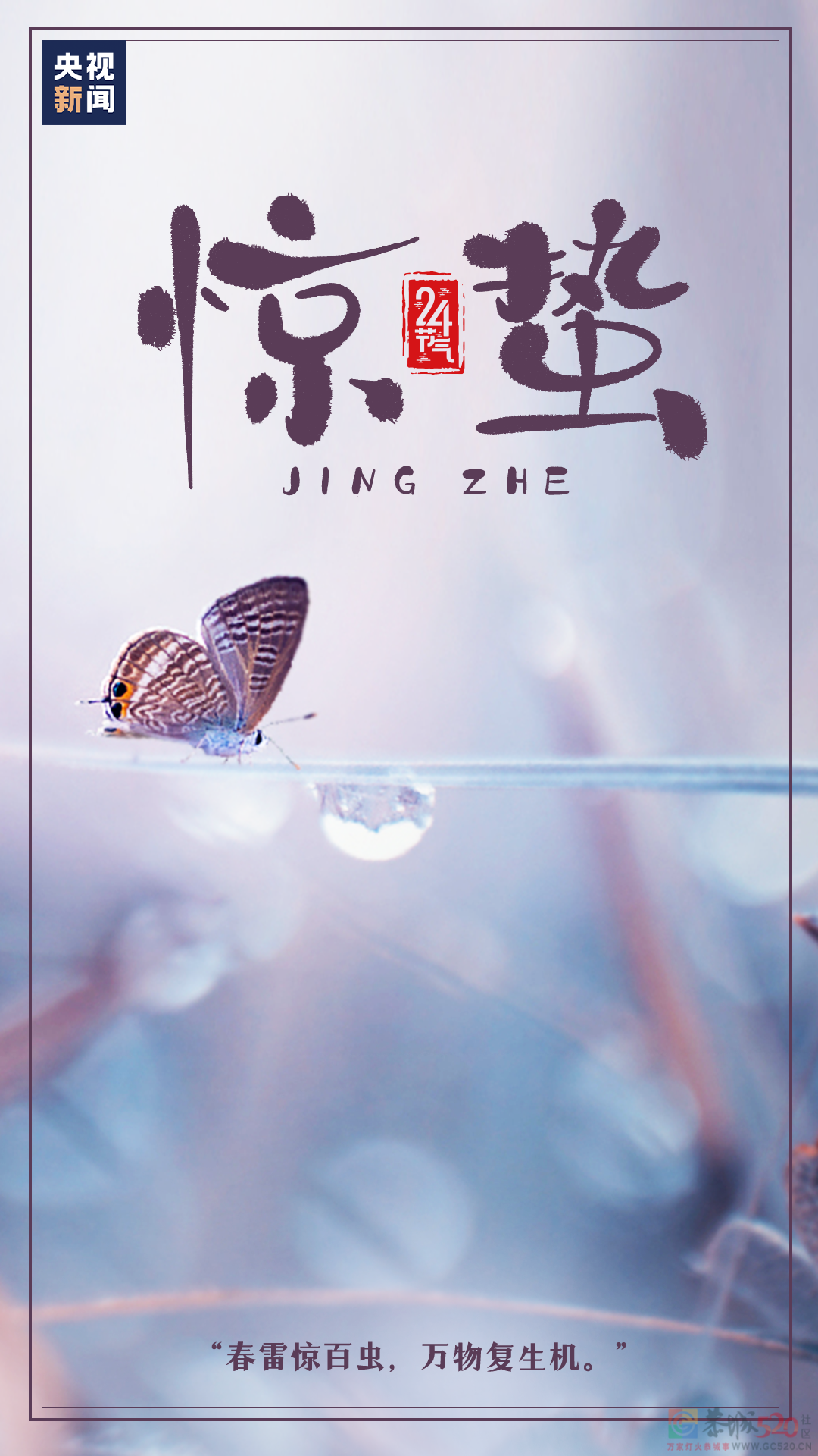 今日惊蛰294 / 作者:登山涉水 / 帖子ID:304809