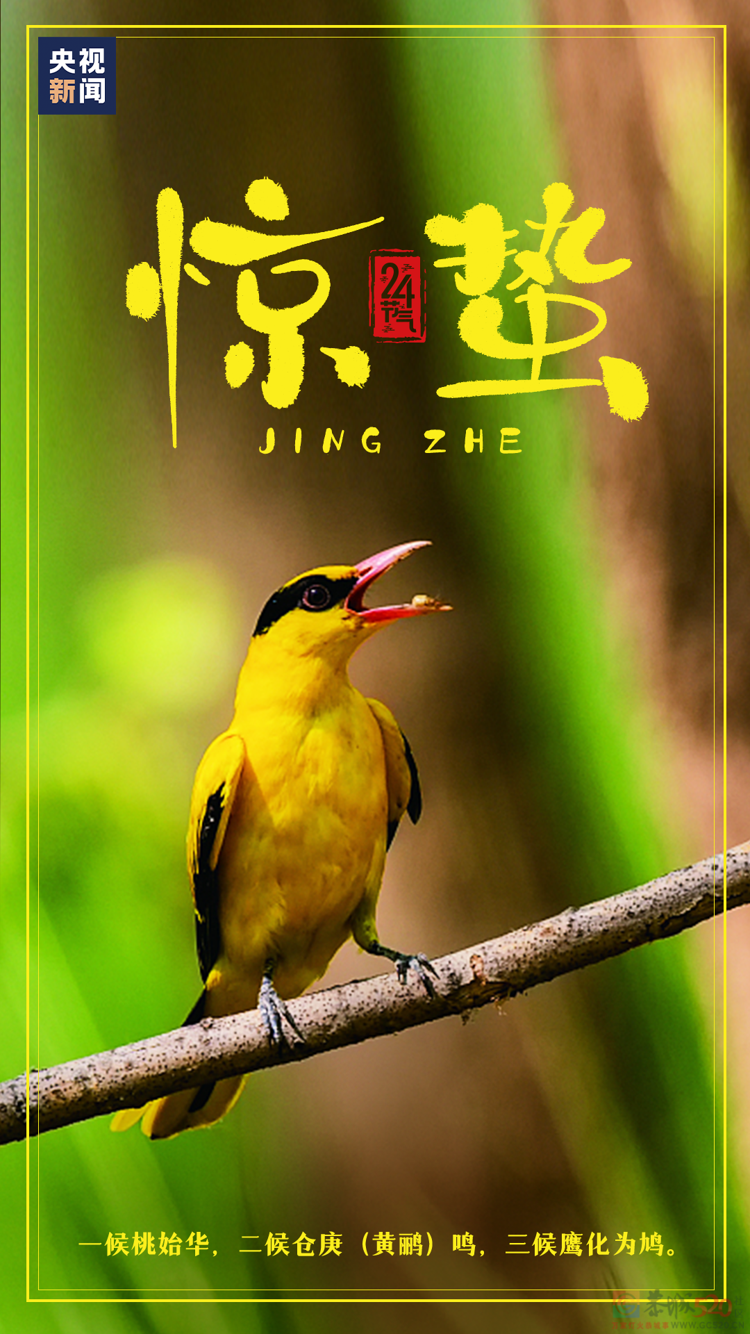 今日惊蛰587 / 作者:登山涉水 / 帖子ID:304809