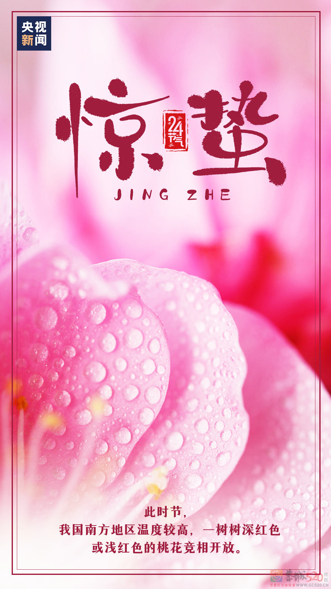 今日惊蛰528 / 作者:登山涉水 / 帖子ID:304809