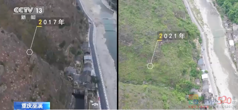 中国人种树有多牛？380 / 作者:登山涉水 / 帖子ID:305020