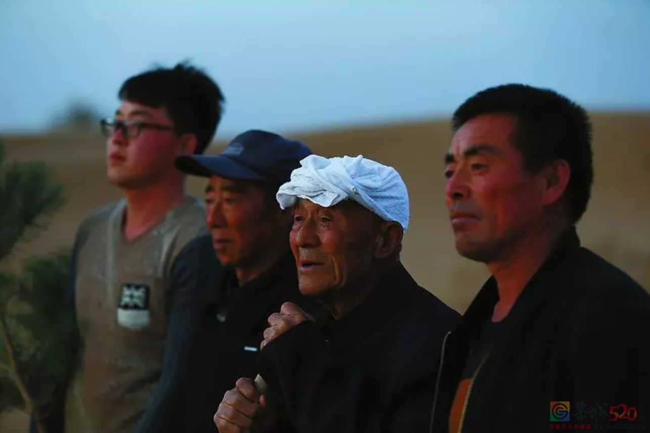 中国人种树有多牛？108 / 作者:登山涉水 / 帖子ID:305020