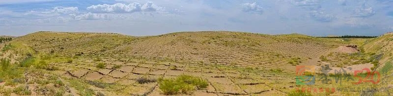 中国人种树有多牛？771 / 作者:登山涉水 / 帖子ID:305020