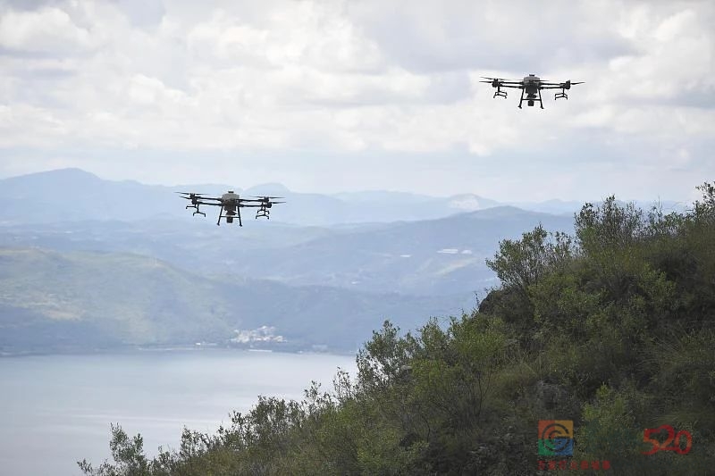 中国人种树有多牛？391 / 作者:登山涉水 / 帖子ID:305020