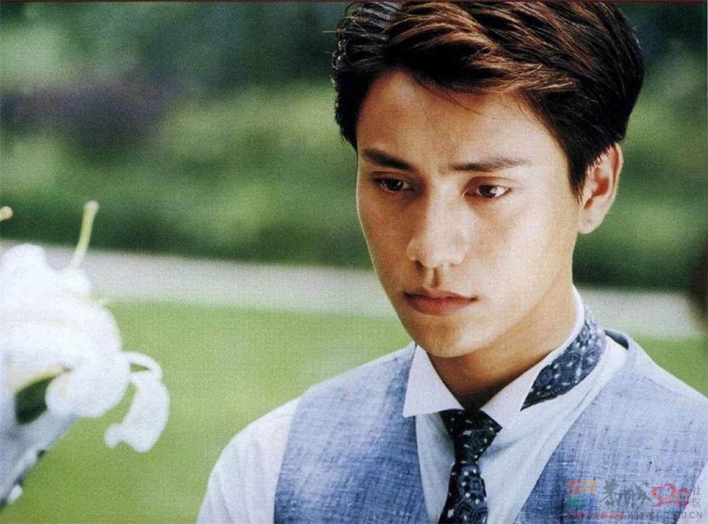 《金粉世家》：20年来，从未喜欢过金燕西554 / 作者:该做的事情 / 帖子ID:305246
