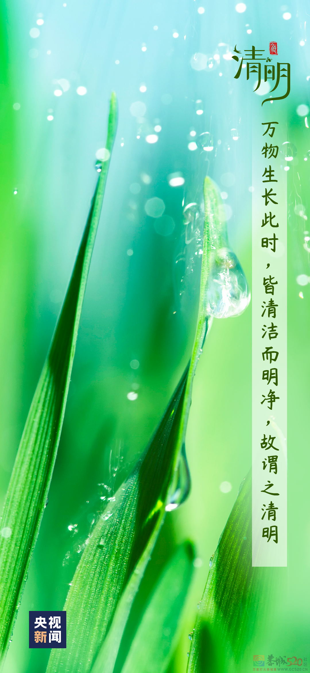 今日，清明863 / 作者:登山涉水 / 帖子ID:305701