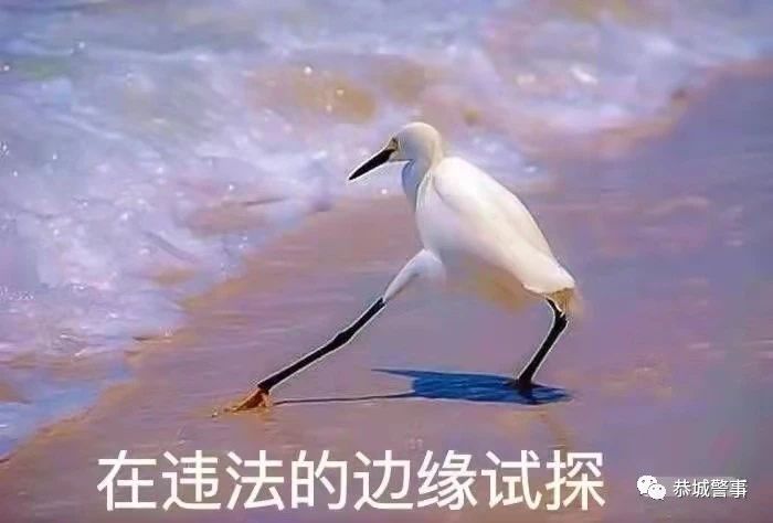 恭城：深夜非法电鱼，这5名男子被抓现行！183 / 作者:论坛小编01 / 帖子ID:305834