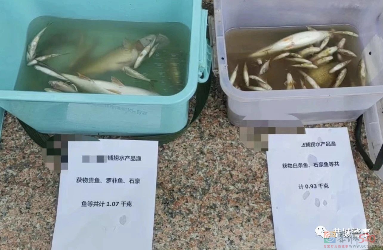 恭城：深夜非法电鱼，这5名男子被抓现行！744 / 作者:论坛小编01 / 帖子ID:305834