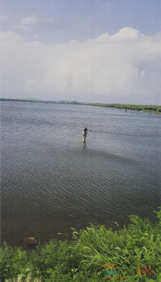 国家安全机关最新披露！656 / 作者:登山涉水 / 帖子ID:305952