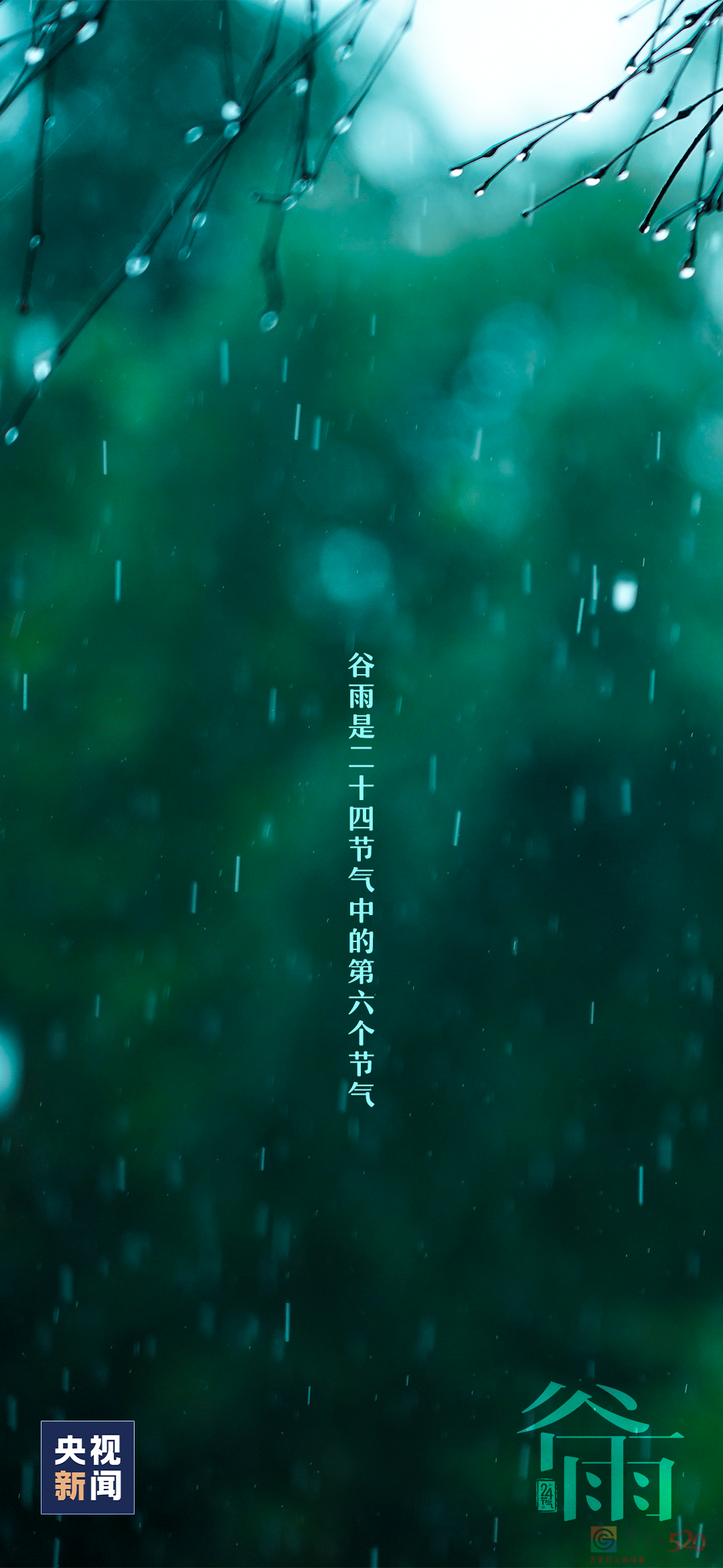 春归谷雨，夏日将至301 / 作者:登山涉水 / 帖子ID:306084