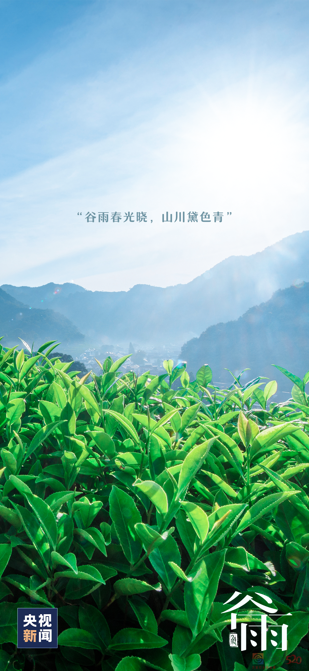 春归谷雨，夏日将至876 / 作者:登山涉水 / 帖子ID:306084