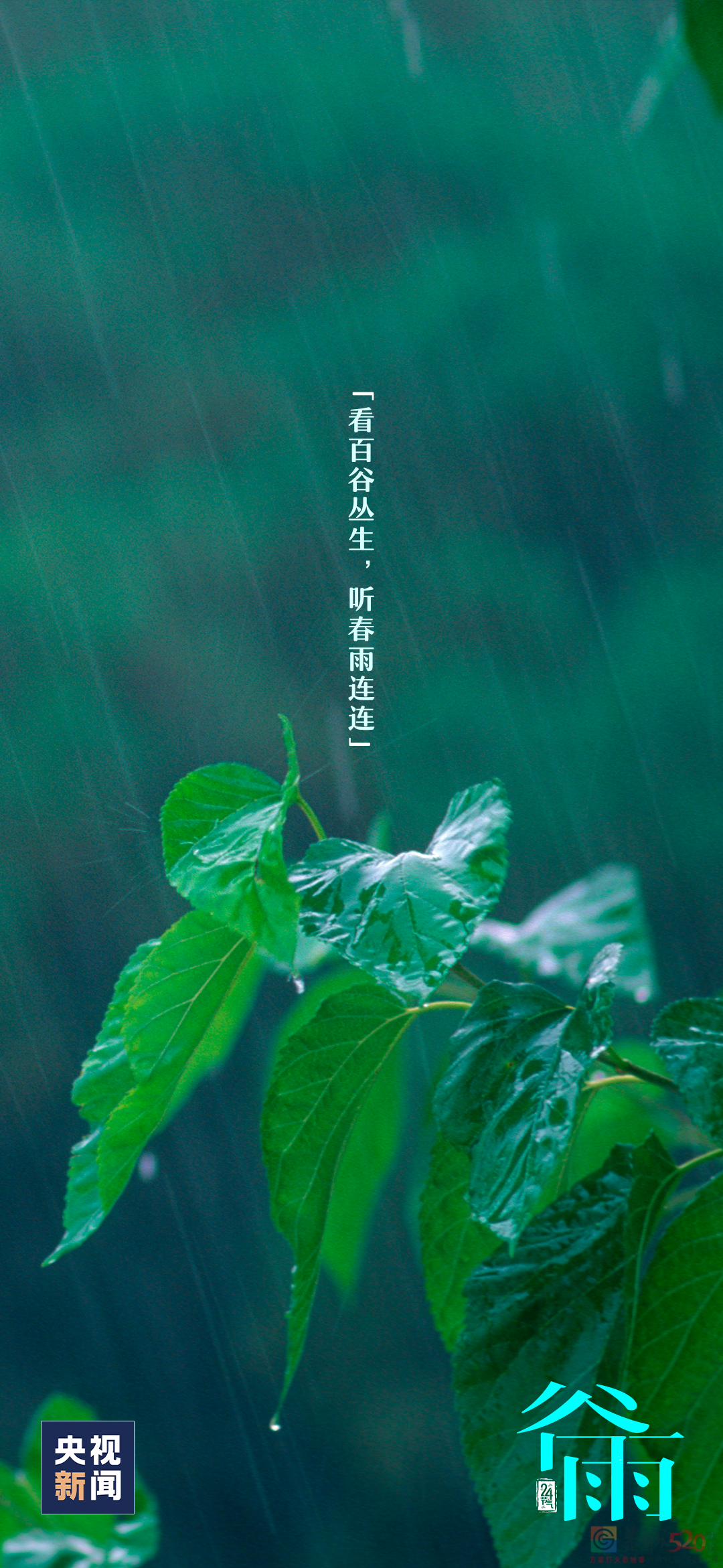 春归谷雨，夏日将至29 / 作者:登山涉水 / 帖子ID:306084