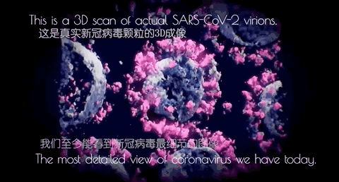为什么医生总说，「免疫力」不是越强越好？370 / 作者:健康小天使 / 帖子ID:306190