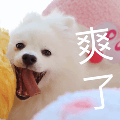 恐高症只是“胆子小”？你想得太简单了！754 / 作者:健康小天使 / 帖子ID:306374