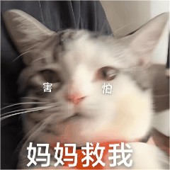 恐高症只是“胆子小”？你想得太简单了！162 / 作者:健康小天使 / 帖子ID:306374