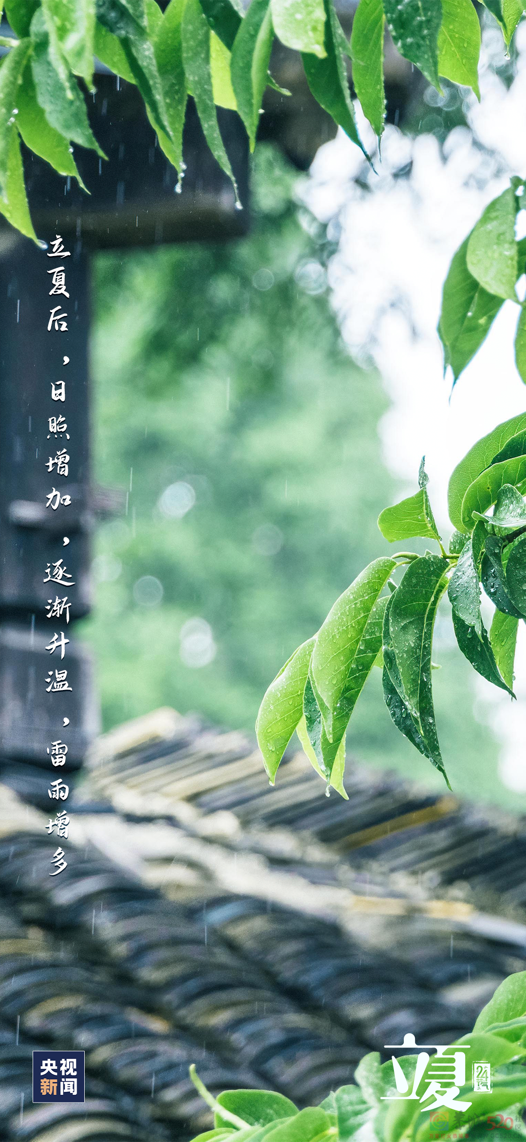 你好，夏天！710 / 作者:登山涉水 / 帖子ID:306469