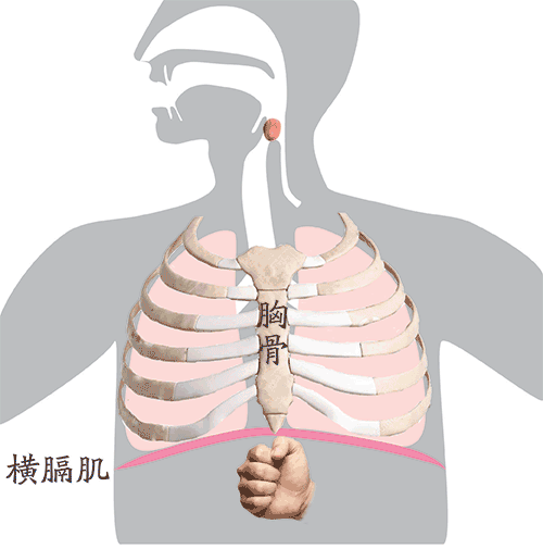这个“拥抱”能救命，人人必学的「海姆立克急救法」116 / 作者:健康小天使 / 帖子ID:306566
