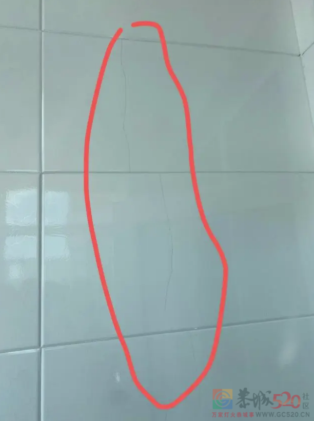 “整不明白，几个傻子怎么能把楼给崩了”919 / 作者:儿时的回忆 / 帖子ID:306594