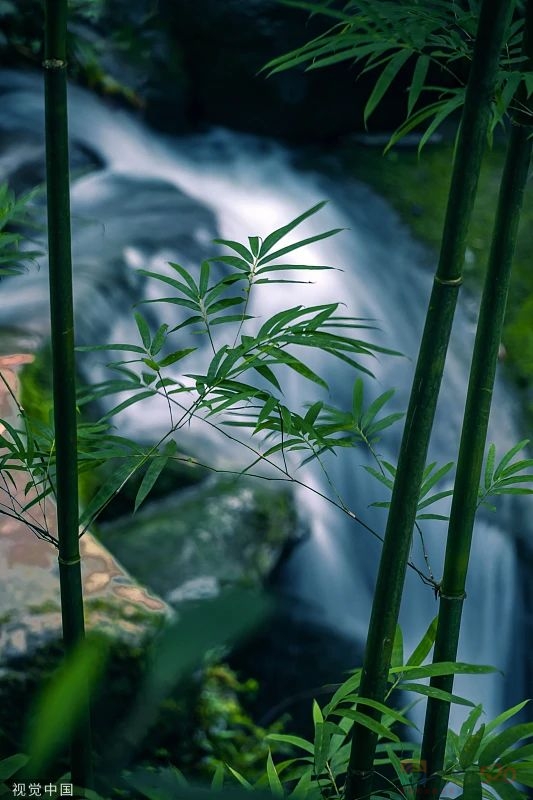 今日小满156 / 作者:登山涉水 / 帖子ID:306868