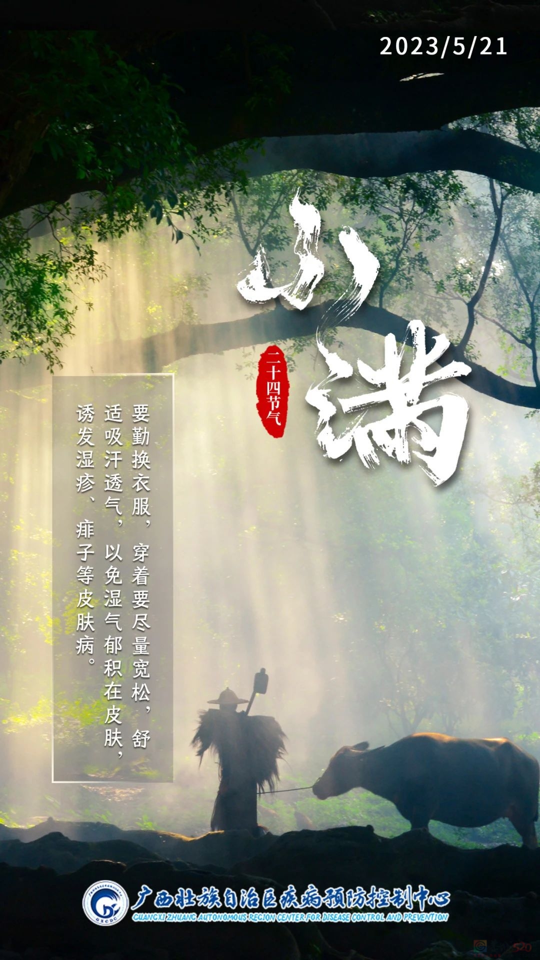 小满 | 最爱垄头麦，迎风笑落红816 / 作者:健康小天使 / 帖子ID:306877
