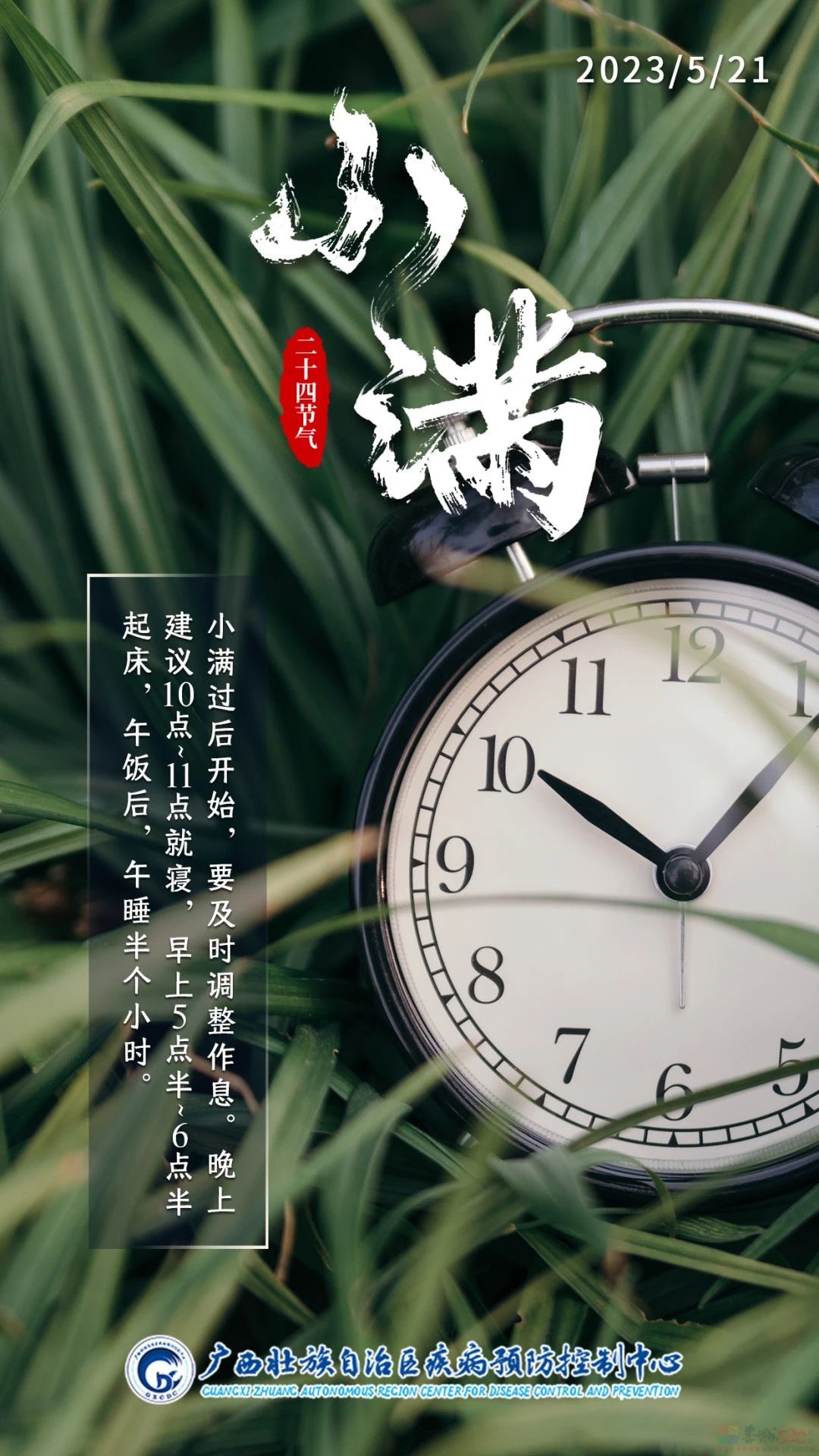 小满 | 最爱垄头麦，迎风笑落红492 / 作者:健康小天使 / 帖子ID:306877