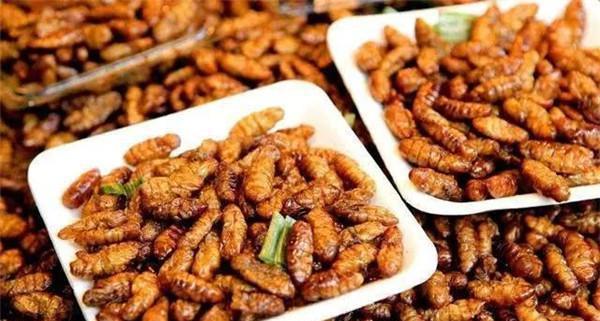 你算挑食吗？你最难接受的食物是什么？131 / 作者:论坛小编01 / 帖子ID:306970