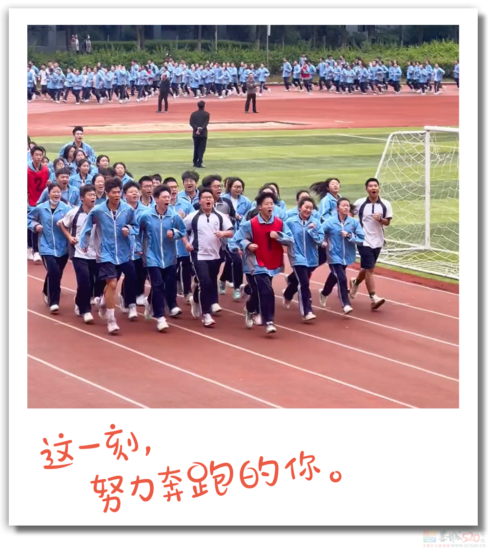 倒计时10天！496 / 作者:登山涉水 / 帖子ID:307104