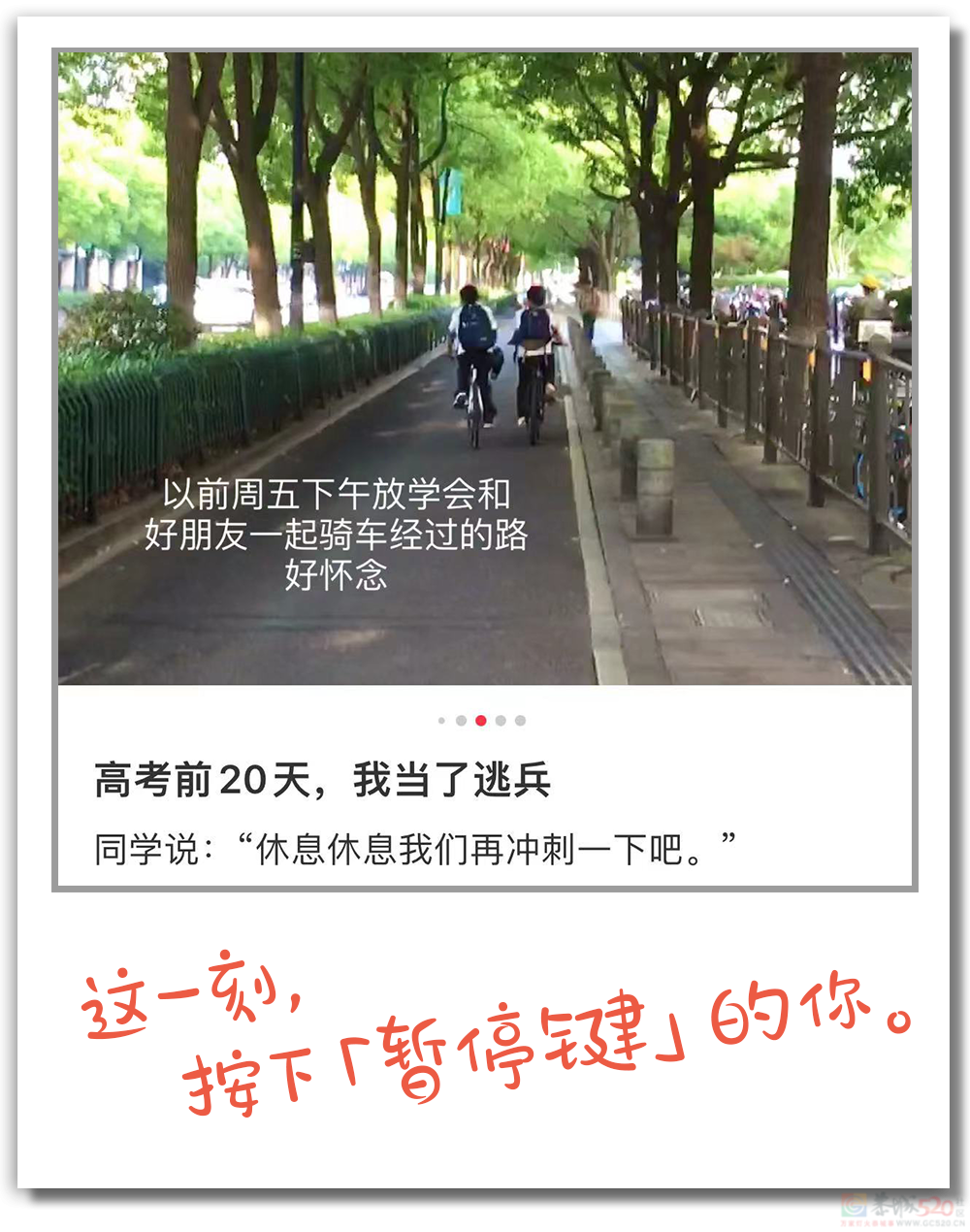 倒计时10天！959 / 作者:登山涉水 / 帖子ID:307104