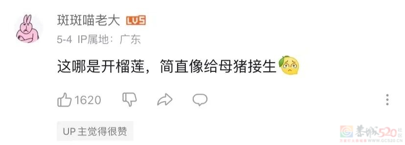 我在B站看人开榴莲，提前领悟世事无常416 / 作者:儿时的回忆 / 帖子ID:307186