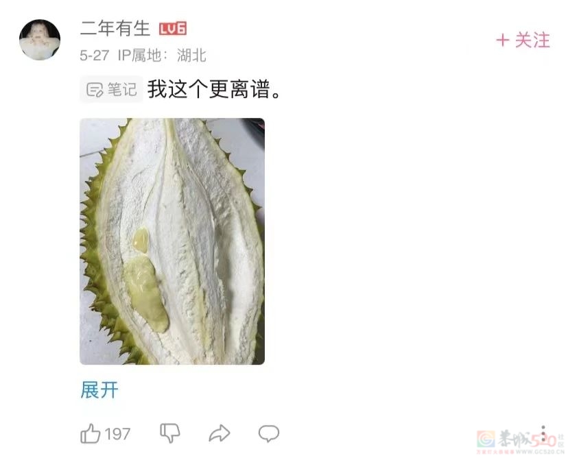 我在B站看人开榴莲，提前领悟世事无常263 / 作者:儿时的回忆 / 帖子ID:307186