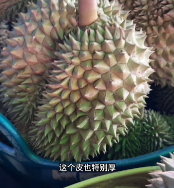 我在B站看人开榴莲，提前领悟世事无常574 / 作者:儿时的回忆 / 帖子ID:307186