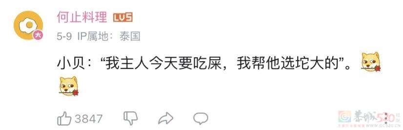 我在B站看人开榴莲，提前领悟世事无常501 / 作者:儿时的回忆 / 帖子ID:307186