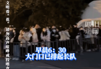 被骂“低俗”的椰树男模终于爆火，娱乐圈看了都脸红545 / 作者:儿时的回忆 / 帖子ID:307444