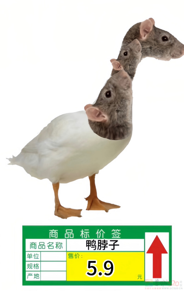 还没放过“鼠头鸭脖”的网友，玩出了今年最讽刺热梗980 / 作者:儿时的回忆 / 帖子ID:307505