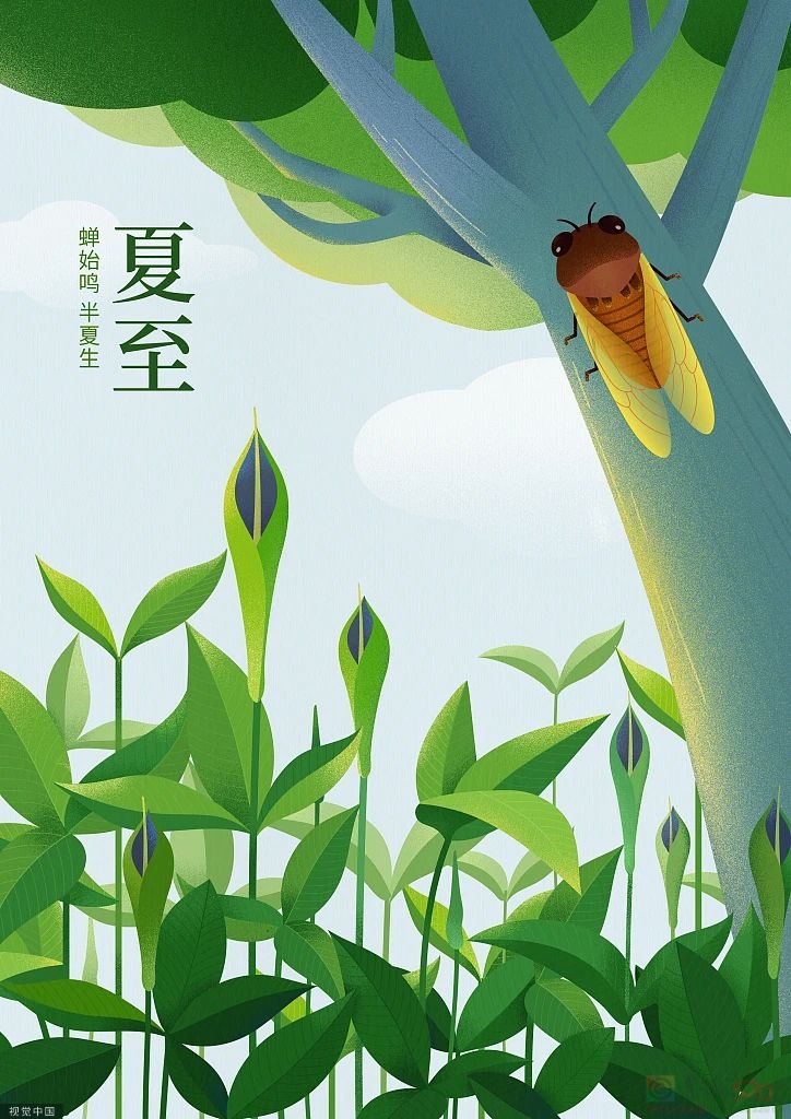 关 于 夏 至 的 24 句 话！811 / 作者:登山涉水 / 帖子ID:307841