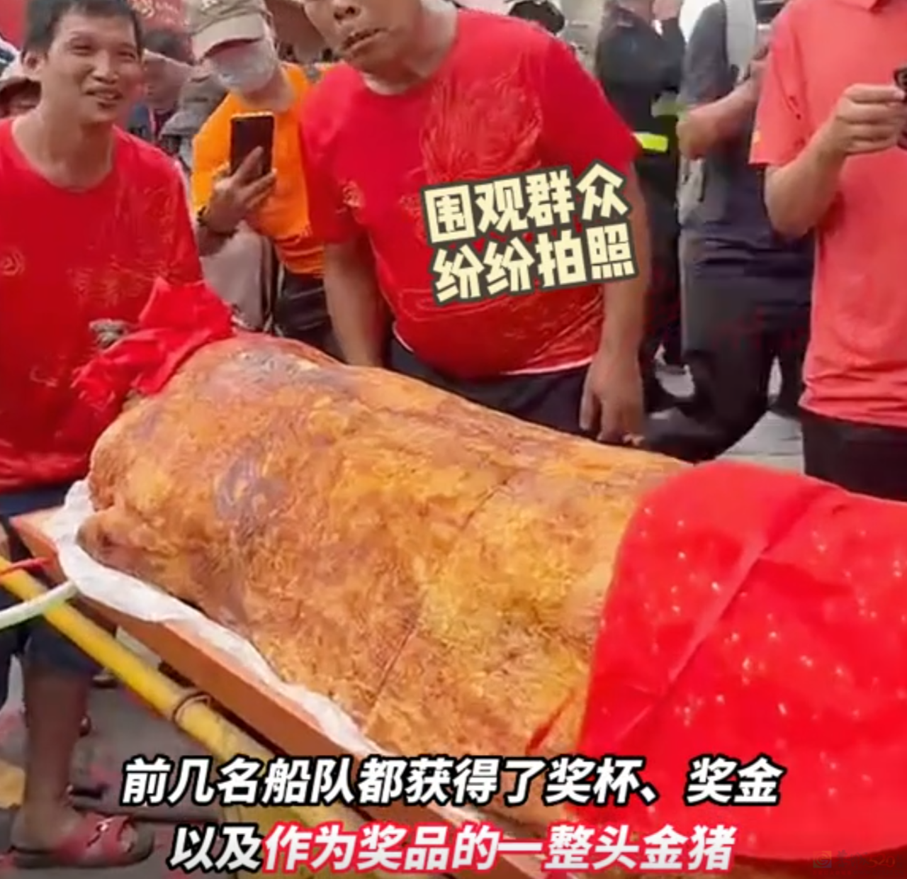 憋疯了的南方土豪，今年赛龙舟像水上劳斯莱斯在决斗628 / 作者:儿时的回忆 / 帖子ID:307902
