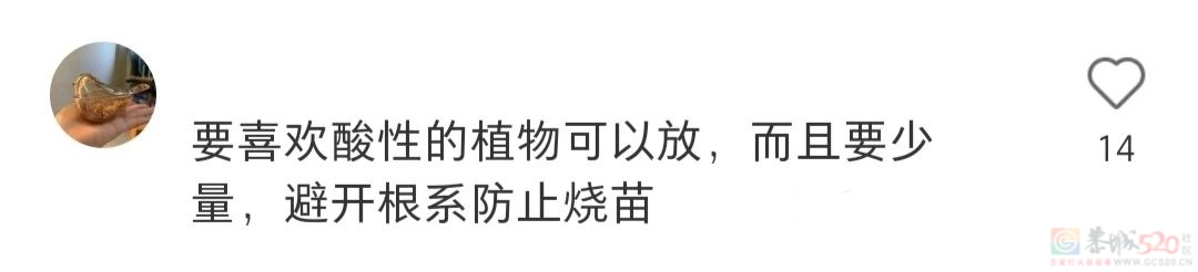 撕了20年纸巾，竟然是错的？543 / 作者:儿时的回忆 / 帖子ID:308323